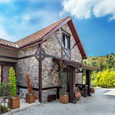 Dis Mekan Tas Kaplama9